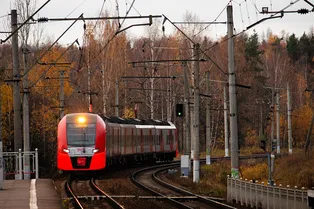 Железнодорожные птицы: почему в России поезда называют в честь пернатых