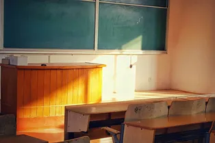 Сможете ли вы снова стать отличником? 5 школьных вопросов, которые ставят взрослых в тупик
