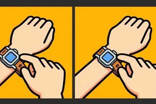 Разминка для глаз на 14 секунд: сможете найти 3 отличия между картинками? Разминка для глаз на 14 секунд: сможете найти 3 отличия между картинками?