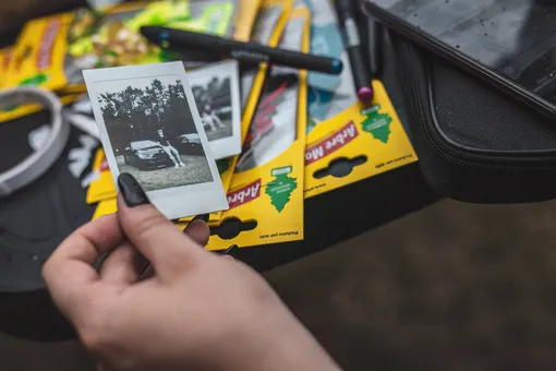 Полароидный снимок