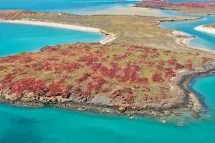 На дне океана в Австралии найдены следы древней цивилизации На дне океана в Австралии найдены следы древней цивилизации