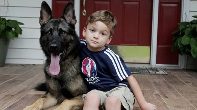 Нажми и смотри Нажми и смотри