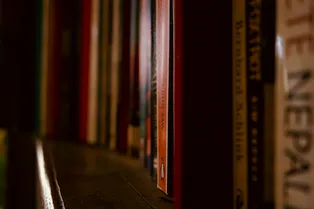 Быстрый тест на знание мировой литературы: узнаете книгу по имени главного героя?