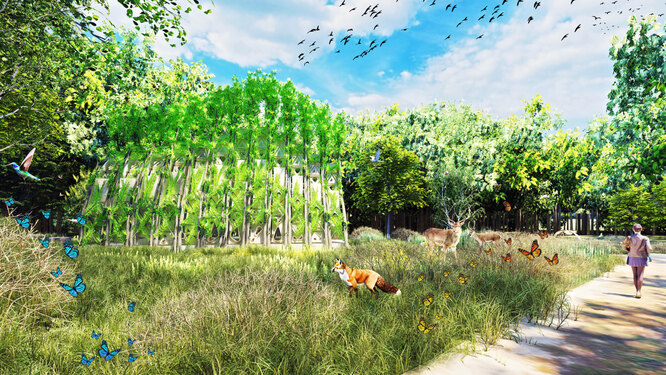 Возможно, так будут выглядеть жилые дома из живых деревьев