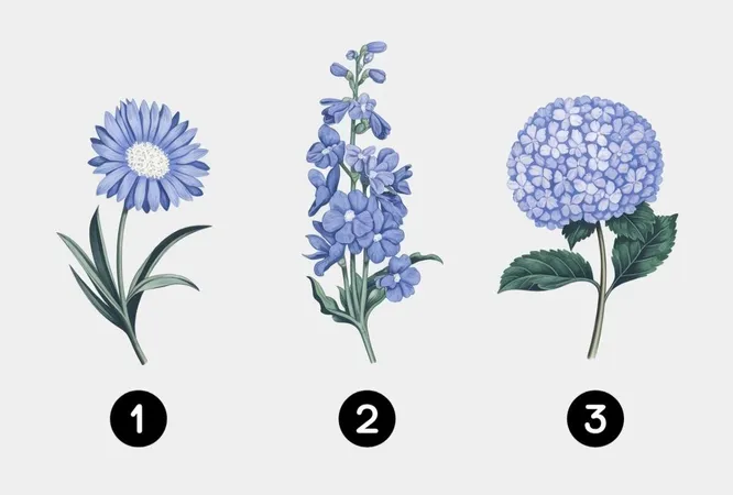 №1, 2 или 3?