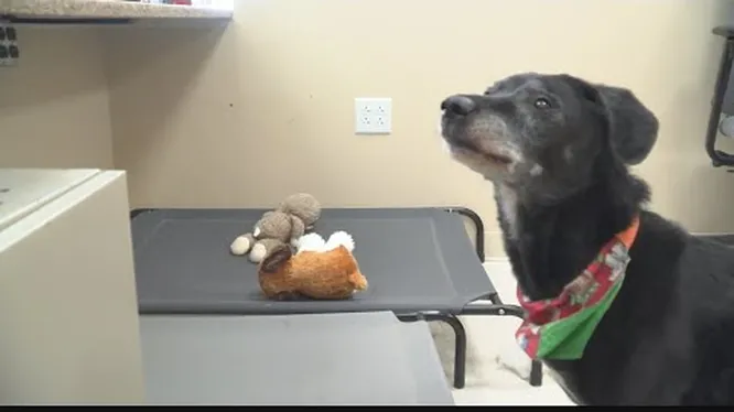 Нажми и смотри Нажми и смотри