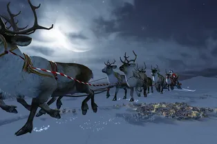 Какой гендер у оленей Санты: простой вопрос, неочевидный ответ