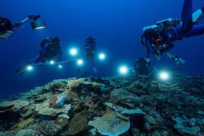 Ученые нашли место, где искать «следующий пенициллин»