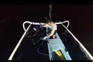 Блогер бросил камеру на дно океана и заснял ранее неизвестный вид живности