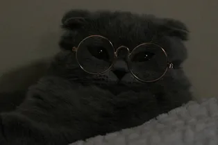 От школьной математики до научной фантастики: мини-тест общих знаний. Проверьте себя! От школьной математики до научной фантастики: мини-тест общих знаний. Проверьте себя!