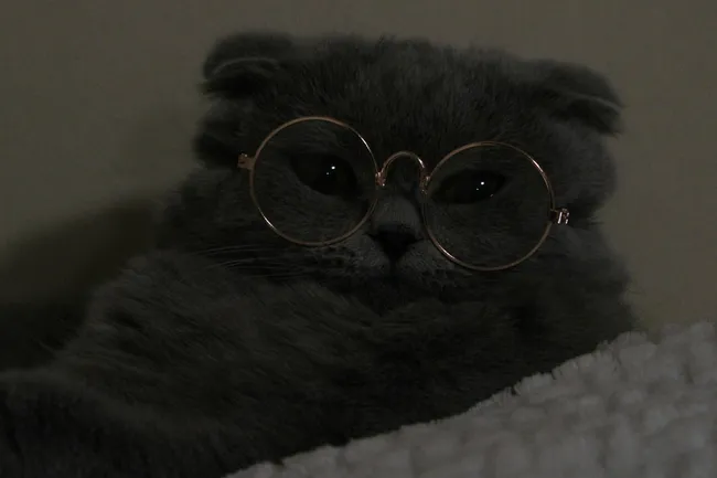 От школьной математики до научной фантастики: мини-тест общих знаний. Проверьте себя!