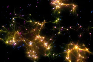 Любопытный эксперимент: как ученые научили клетки мозга играть в классическую игру Pong Любопытный эксперимент: как ученые научили клетки мозга играть в классическую игру Pong