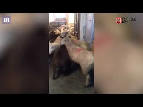 Нажми и смотри Нажми и смотри