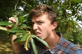 Почему Лондон стал пахнуть спермой