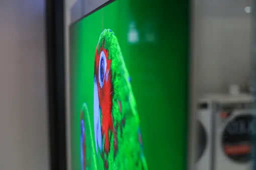 OLED дисплей OLED дисплей