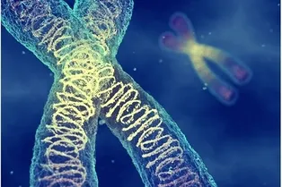 Ученые составили полный каталог «молекулярных шрамов», остающихся в ДНК после ремонта разрывов