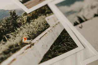 Существует ли на самом деле фотографическая память?