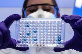 Как Гонконг переманивает западных ученых — интересные факты