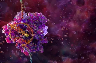 С помощью CRISPR прямо в организме создали иммунные клетки, способные бороться с раком С помощью CRISPR прямо в организме создали иммунные клетки, способные бороться с раком