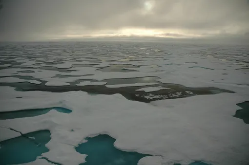 Ледяной покров в Арктике быстро сокращается, что приводит к более быстрому таянию оставшегося льда и изменению доступности питательных веществ. Ученые показывают, как частицы из космоса могут помочь воссоздать ледовые условия за последние 30 000 лет. Ледяной покров в Арктике быстро сокращается, что приводит к более быстрому таянию оставшегося льда и изменению доступности питательных веществ. Ученые показывают, как частицы из космоса могут помочь воссоздать ледовые условия за последние 30 000 лет.