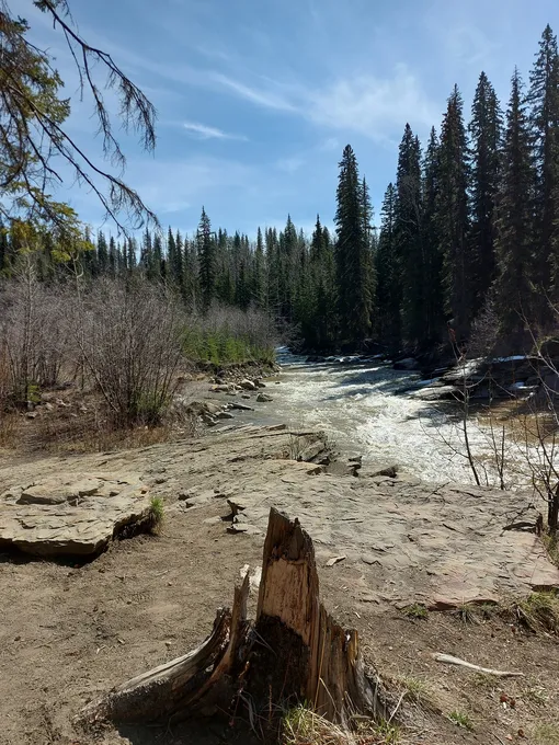Тамблер-Ридж в Канаде