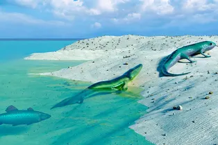 Что такое регрессивная эволюция и зачем она нужна: объяснение экспертов