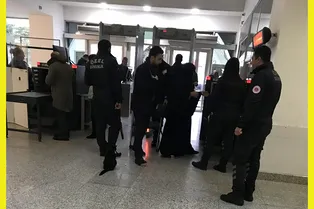 Где пушистый охранник? Попробуйте найти на этой вирусной фотографии замаскированного кота
