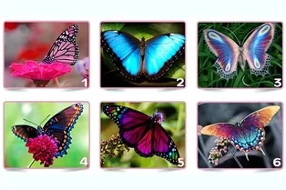 Какая бабочка раскроет вашу истинную сущность? Выберите и узнайте