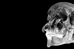 Как ученым удалось выяснить обстоятельства смерти египетского фараона: результаты исследования Как ученым удалось выяснить обстоятельства смерти египетского фараона: результаты исследования